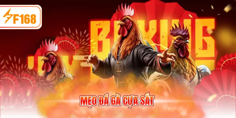 Mẹo đá gà cựa sắt