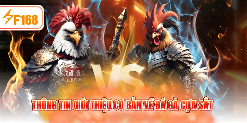 Thông tin giới thiệu cơ bản về đá gà cựa sắt